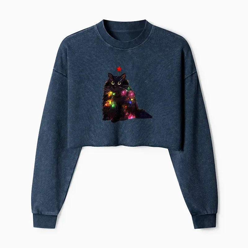 Kyoto Lion Cat Sweatshirt New Arrival