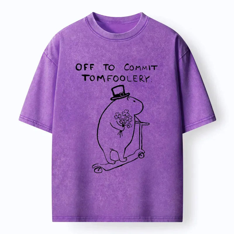 Japanese Washed T-Shirt for Everyday