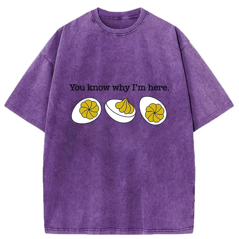 Kyoto-Lion Deviled-Eggs Funny Washed T-Shirt