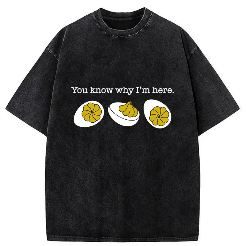 Kyoto-Lion Deviled-Eggs Funny Washed T-Shirt