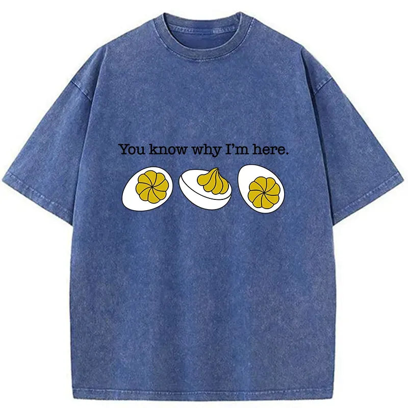 Kyoto Lion Funny T-Shirt for Streetwear