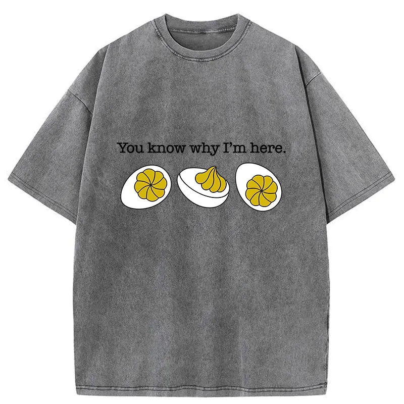 Kyoto Lion Funny T-Shirt for Streetwear