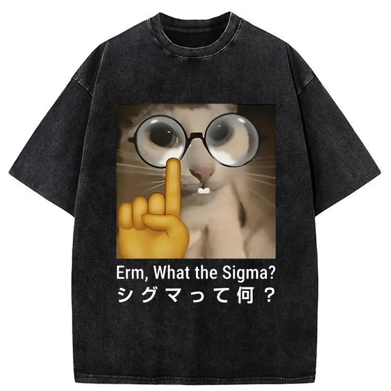 Kyoto-Lion Erm What The Sigma Washed T-Shirt