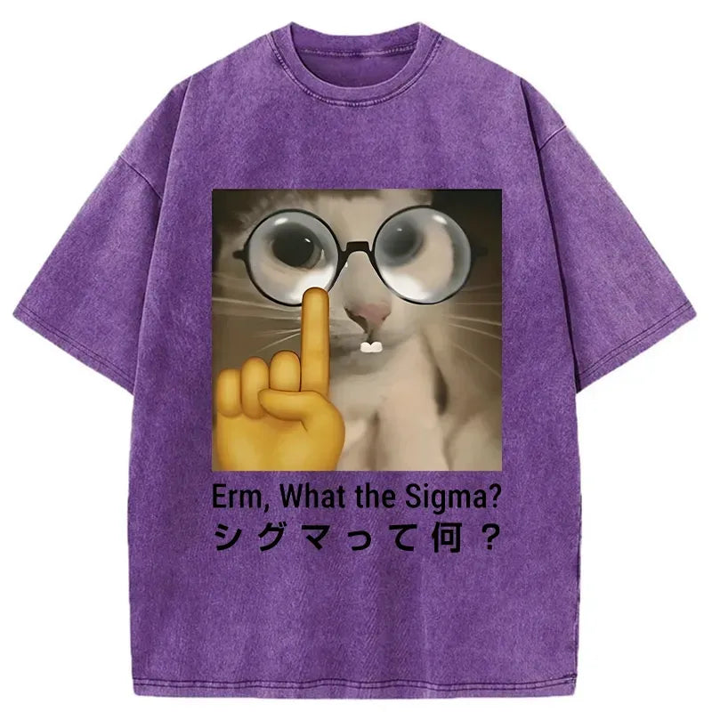 kyoto lion what the sigma washed t-shirt