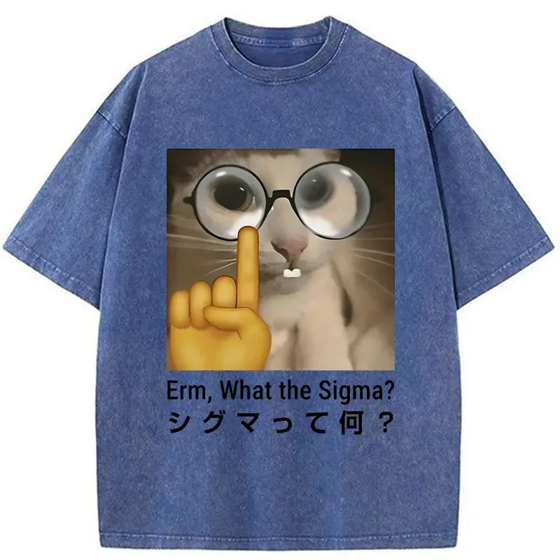 kyoto lion what the sigma washed t-shirt