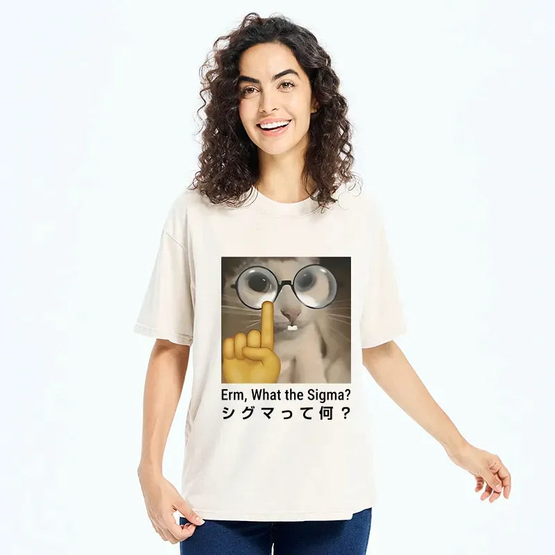 kyoto lion what the sigma washed t-shirt