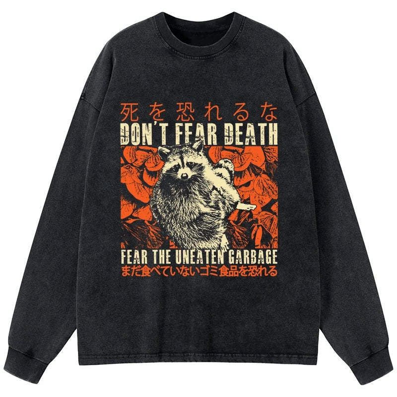 Kyoto-Lion Timid Raccoon Japanese Washed Long Sleeve T-Shirt