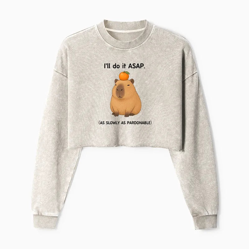 Kyoto-Lion Slow Task Capybara Meme Washed Crop Sweatshirt