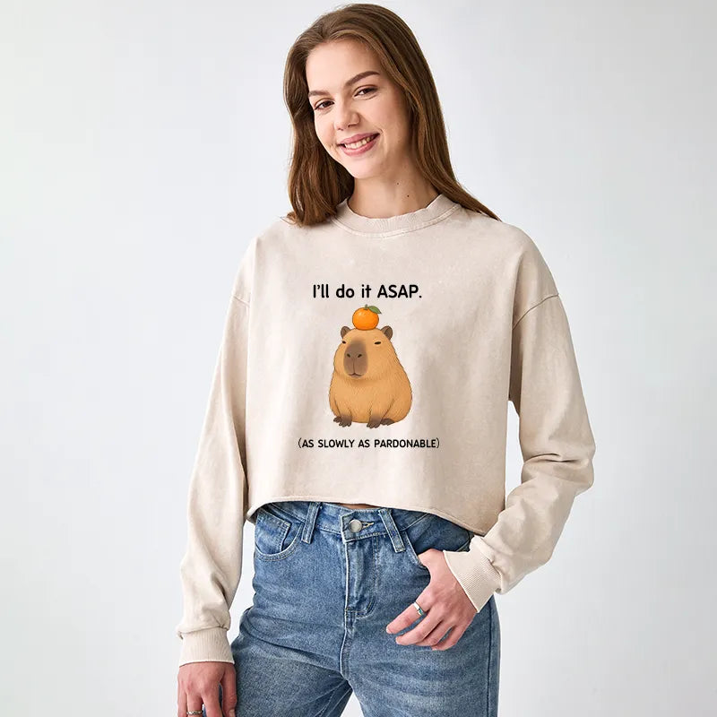 Kyoto-Lion Slow Task Capybara Meme Washed Crop Sweatshirt