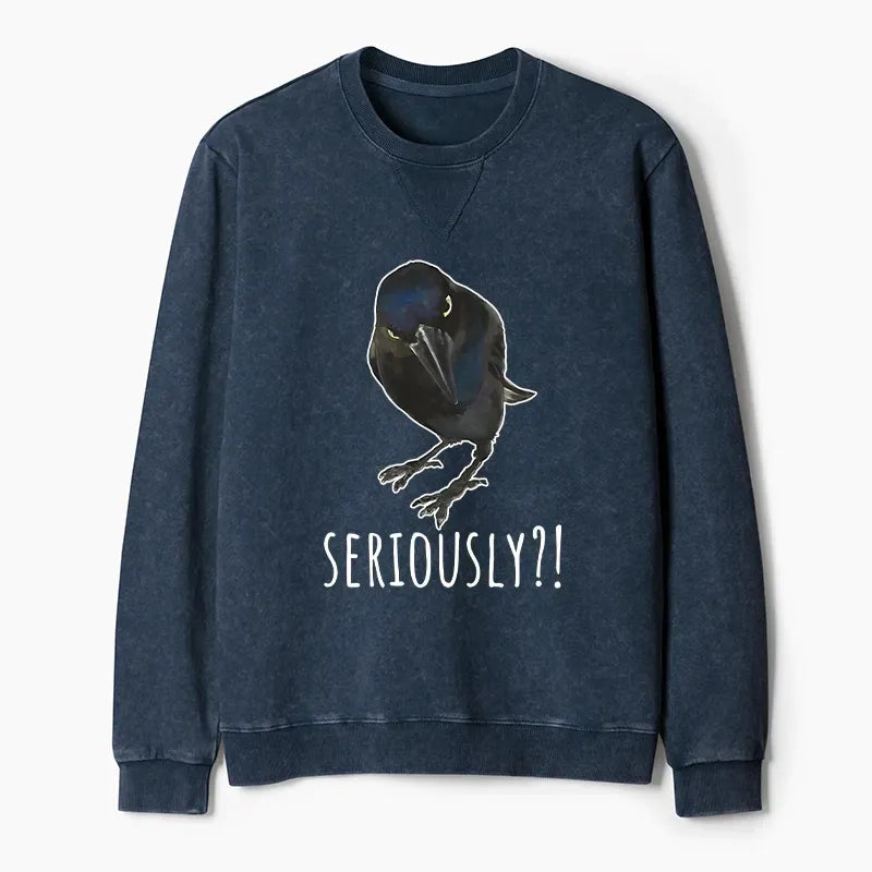 Kyoto-Lion Raven's Question Washed Terry Sweatshirt