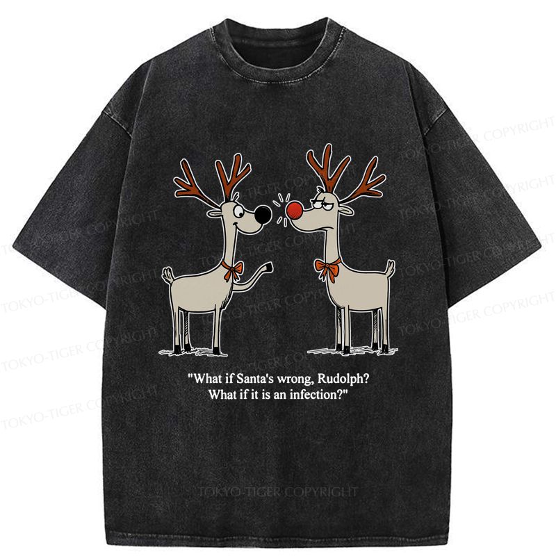 Rudolph Red Nose Washed T-Shirt