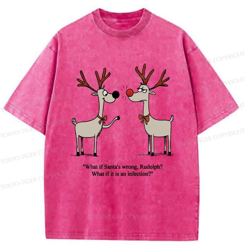 Rudolph Red Nose Washed T-Shirt