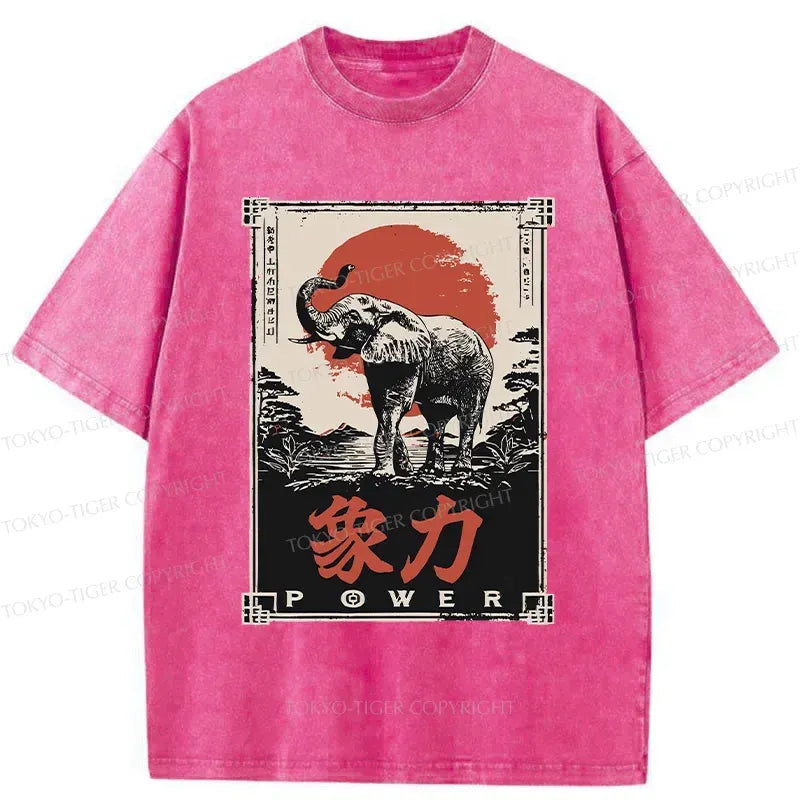 Kyoto-Lion Washed T-Shirt Best Seller