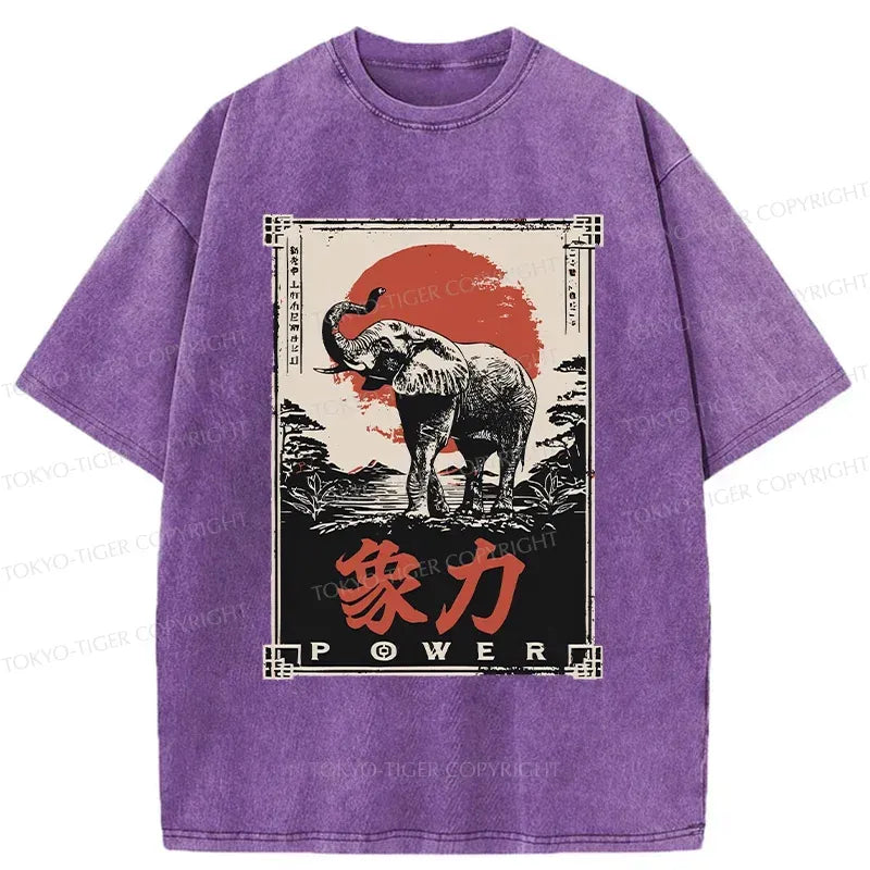 Kyoto-Lion Washed T-Shirt Best Seller