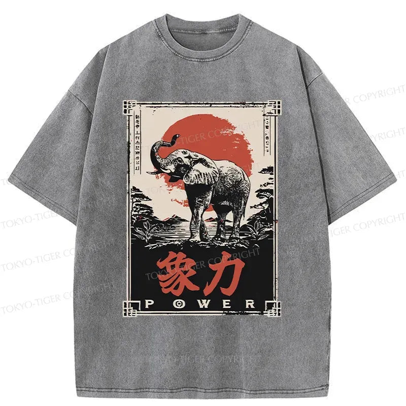 Kyoto-Lion Washed T-Shirt Best Seller