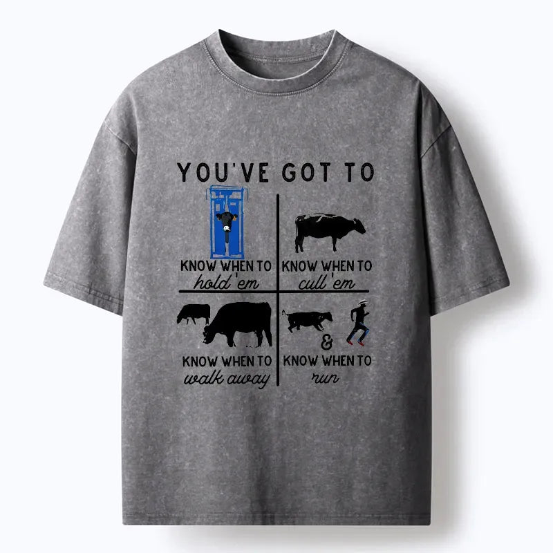 Kyoto-Lion Ranch Songs Funny Washed T-Shirt
