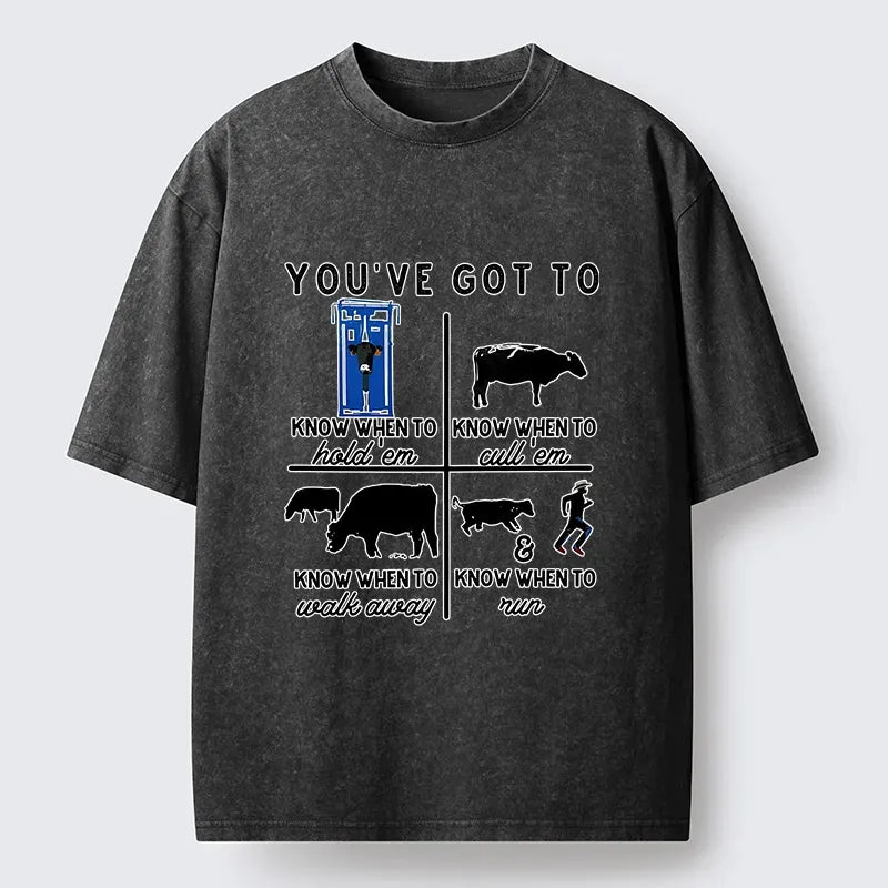 Funny Japanese Lion T-Shirt Gift Idea