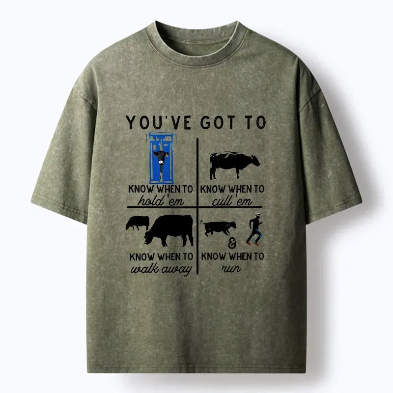Kyoto-Lion Ranch Songs Funny Washed T-Shirt