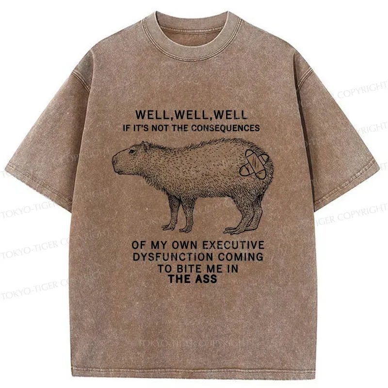 Retro Washed Capybara T-Shirt for Summer