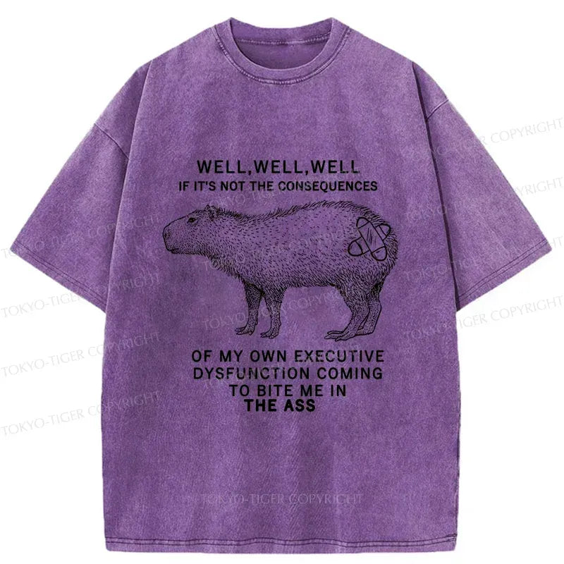 Capybara T-Shirt for Daily Wear