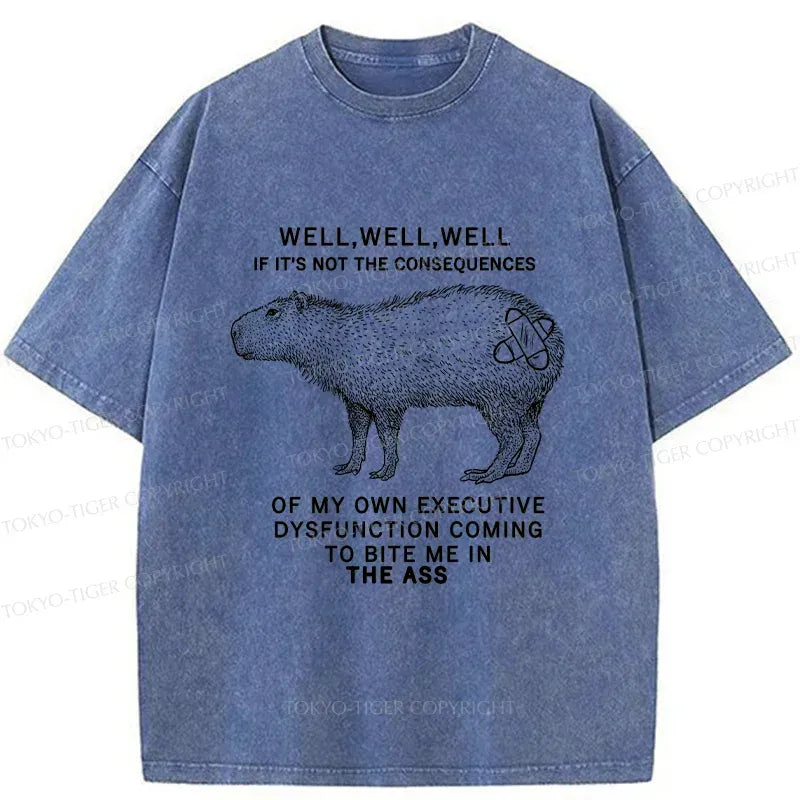 Retro Washed Capybara T-Shirt for Summer