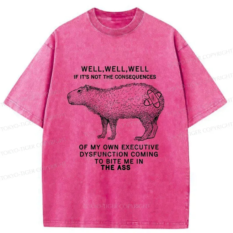 Funny Japanese Capybara T-Shirt