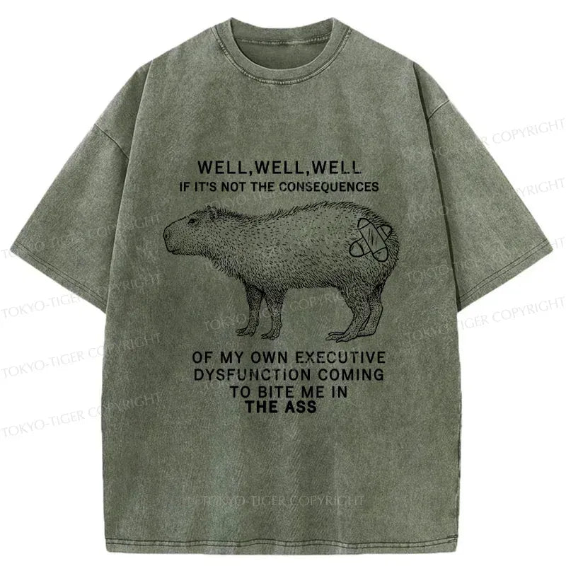 Capybara T-Shirt for Daily Wear