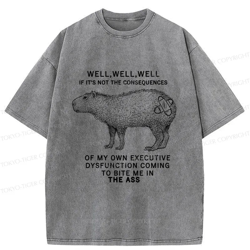 Kyoto-Lion Stupid Capybara Washed T-Shirt