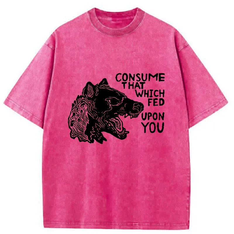 Kyoto-Lion Rebellious Hyenas Washed T-Shirt