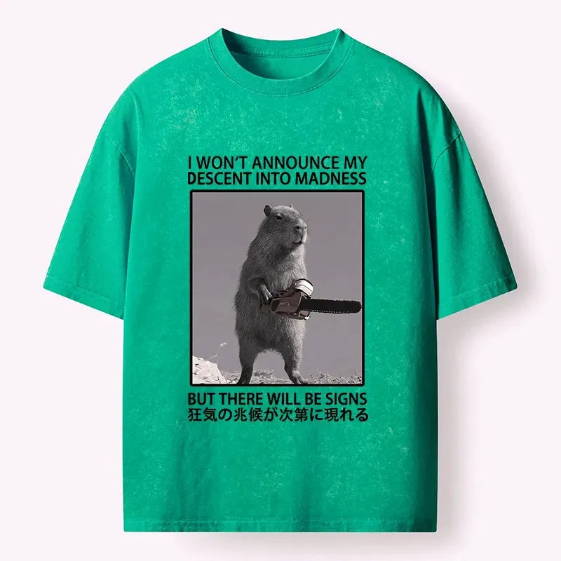 Washed Japanese Meme T-Shirt on Sale
