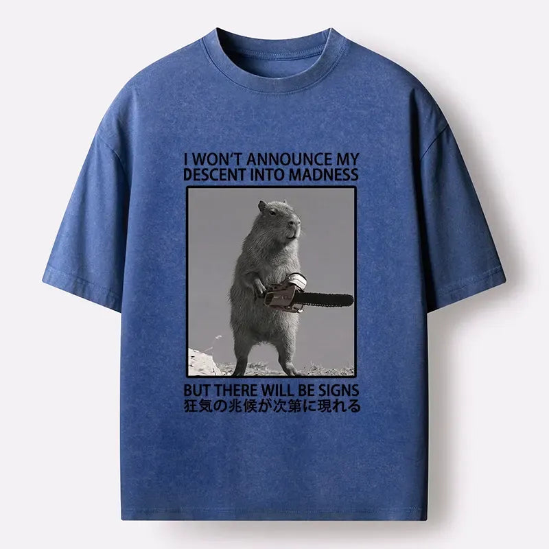 Washed Japanese Meme T-Shirt on Sale