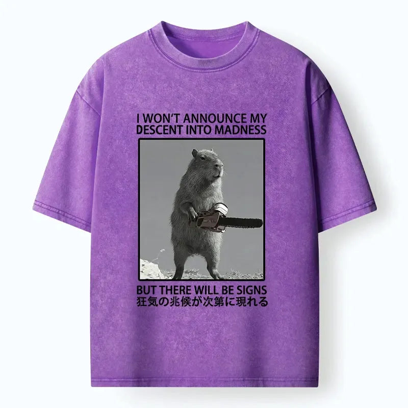Washed Japanese Meme T-Shirt on Sale