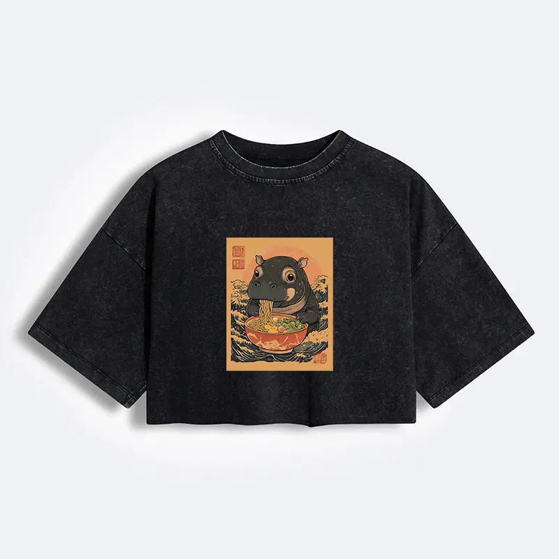 Japanese vintage crop t-shirt for women