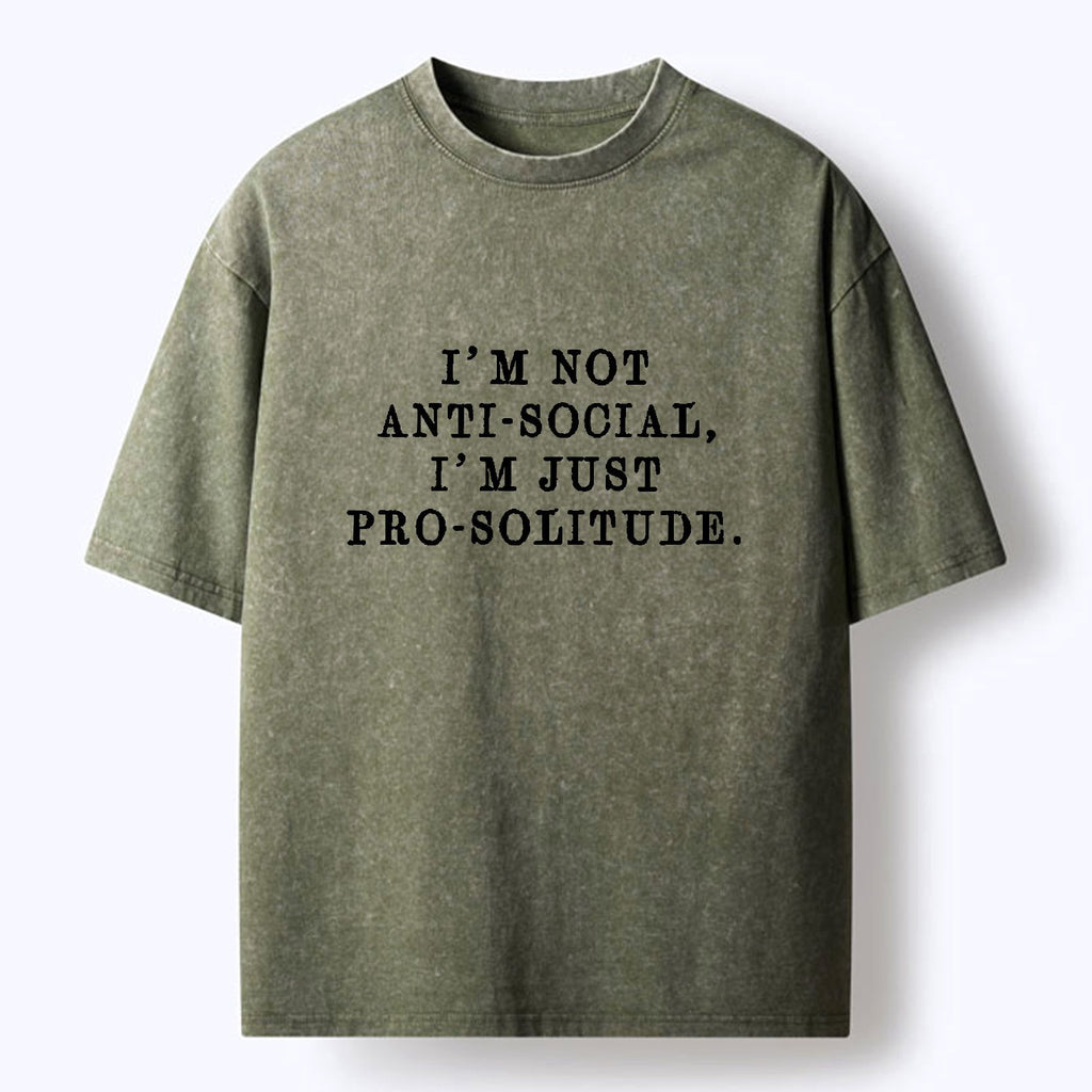 Kyoto Lion Washed T Shirt for Daily Wear