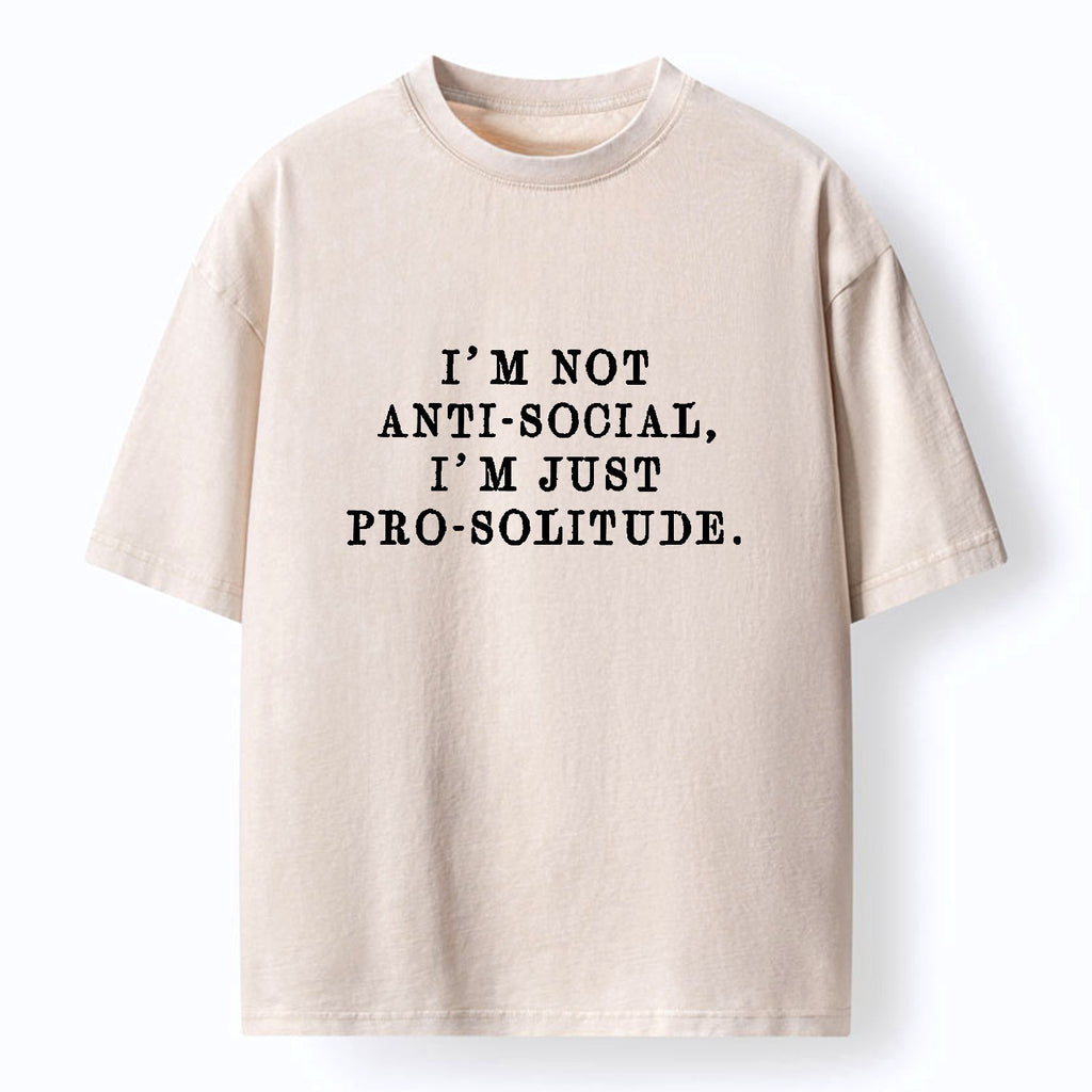 Kyoto Lion Washed T Shirt for Daily Wear