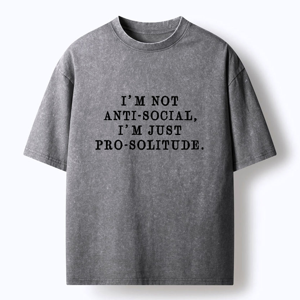 Kyoto-Lion Not Anti-social Just Pro-solitude Washed T-Shirt