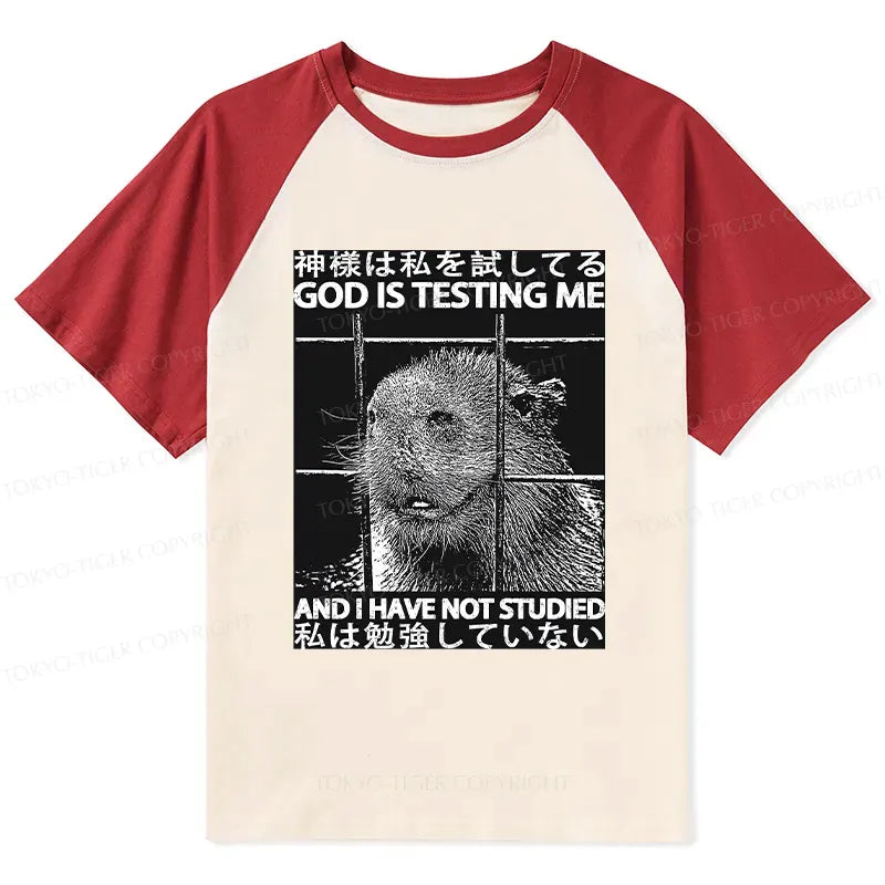 Funny Kyoto Lion God Tee for Gift Idea