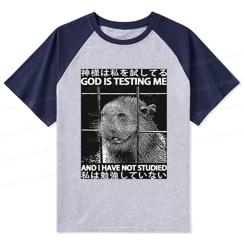 Japanese Lion God Raglan T-shirt for Daily Wear