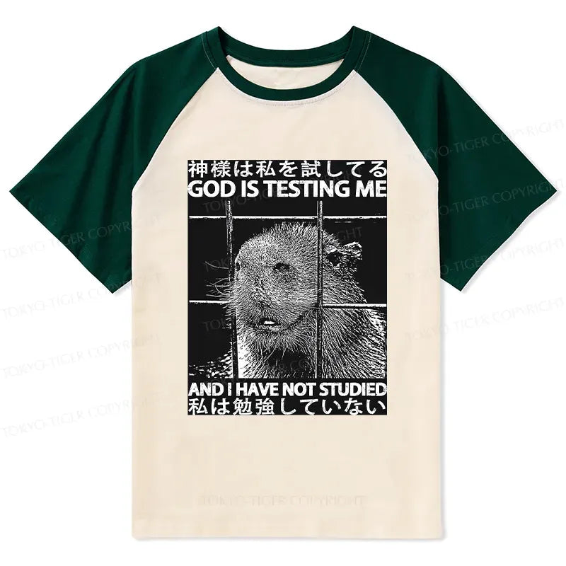 Japanese Lion God Raglan T-shirt for Daily Wear