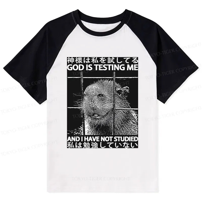 Kyoto-Lion God Is Testing Me Raglan T-shirt