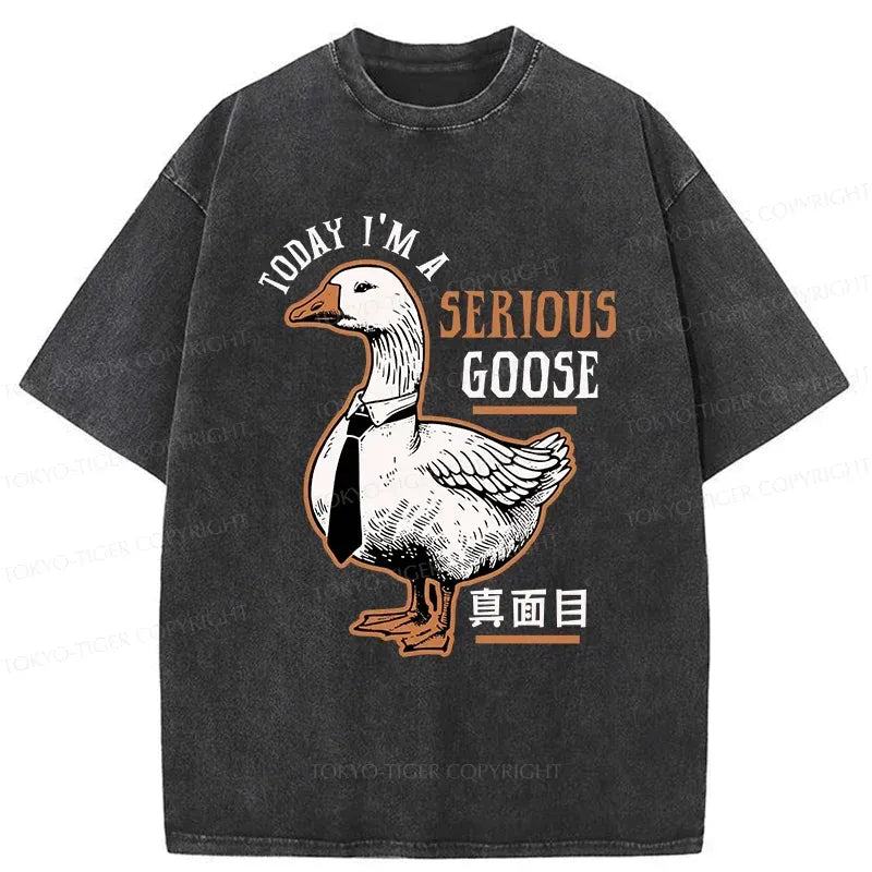 Unisex Japanese T-Shirt with Free Shipping