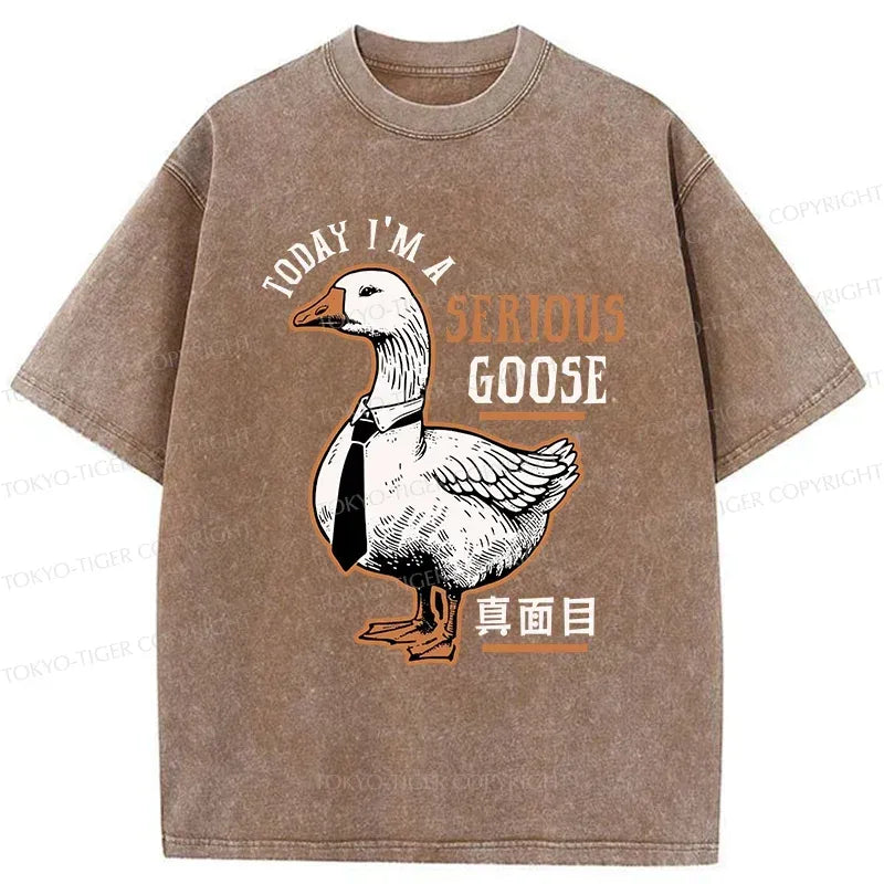 Kyoto-Lion Vintage T-Shirt for Daily Wear