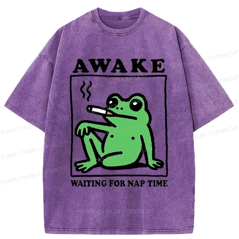 Kyoto-Lion Frog Waiting For A Nap Washed T-Shirt