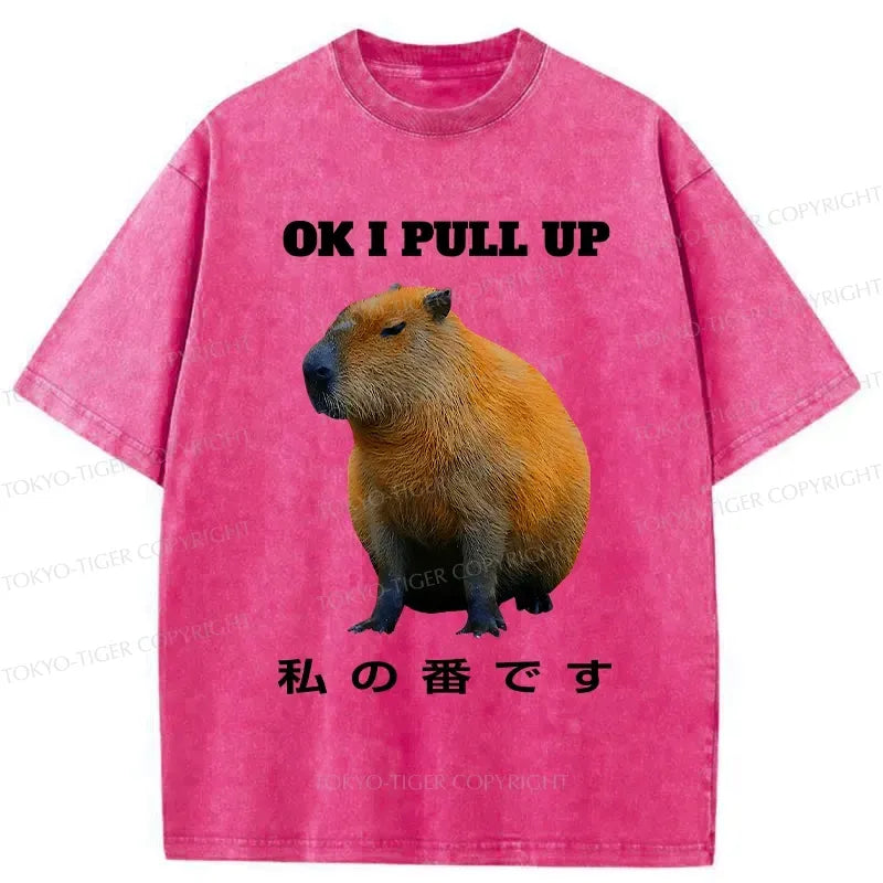 Kyoto-Lion Ok I Pull Up Funny Capybara Washed T-Shirt