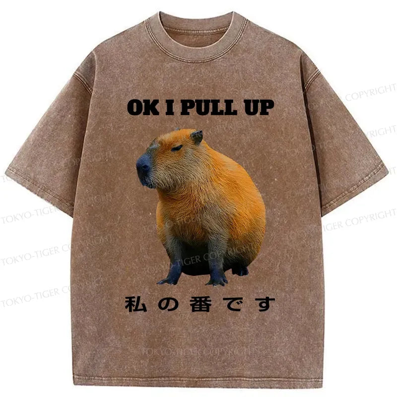 Kyoto-Lion Ok I Pull Up Funny Capybara Washed T-Shirt