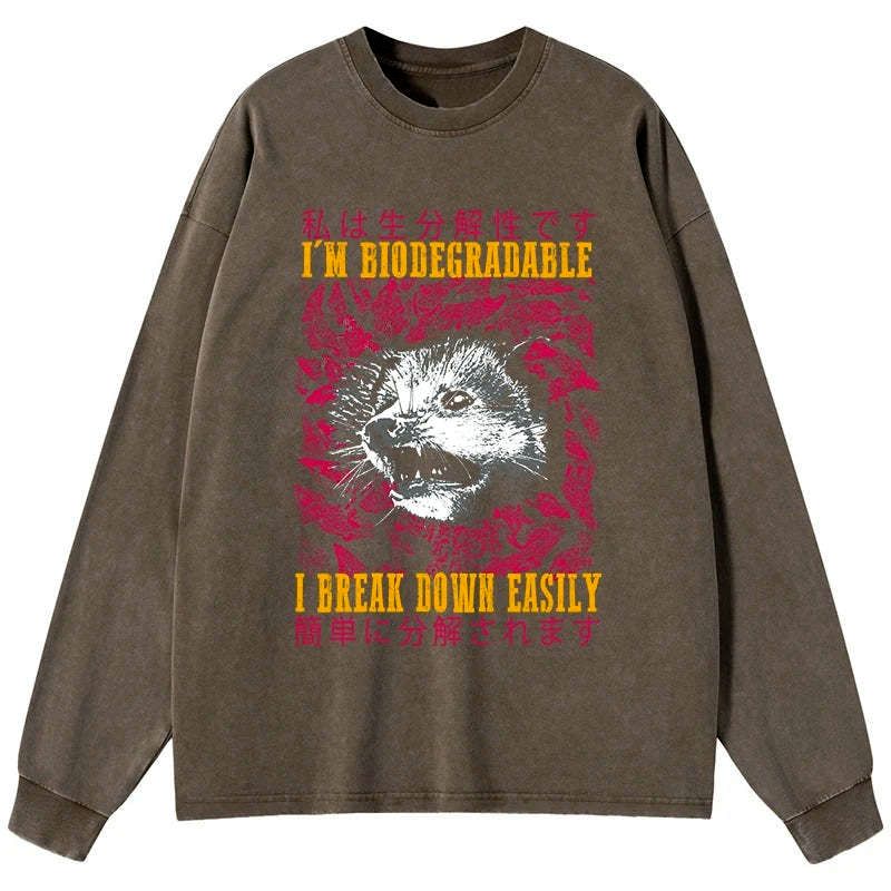 Kyoto-Lion An Easily Breakable Opossum Washed Long Sleeve T-Shirt