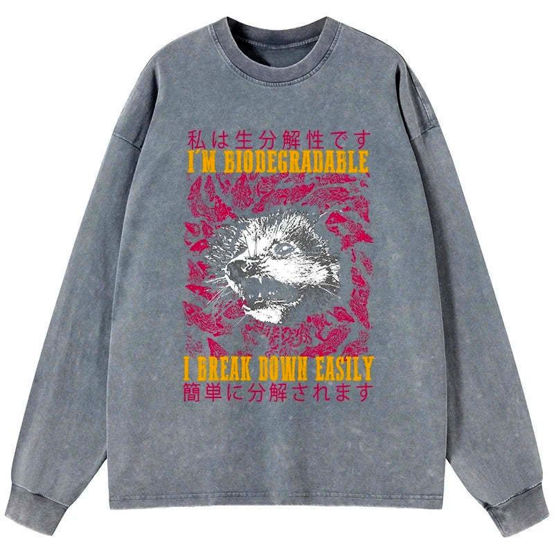 Kyoto-Lion An Easily Breakable Opossum Washed Long Sleeve T-Shirt