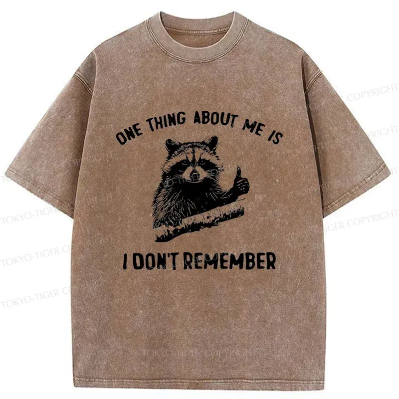 Kyoto-Lion Amnesiac Raccoon Washed T-Shirt