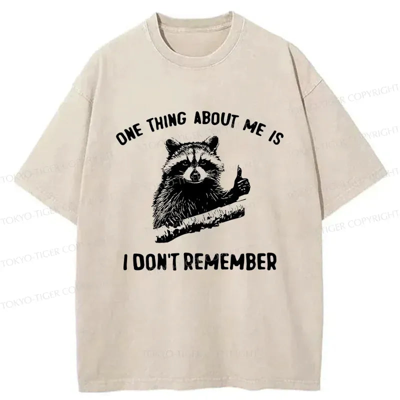 Kyoto-Lion Amnesiac Raccoon Washed T-Shirt