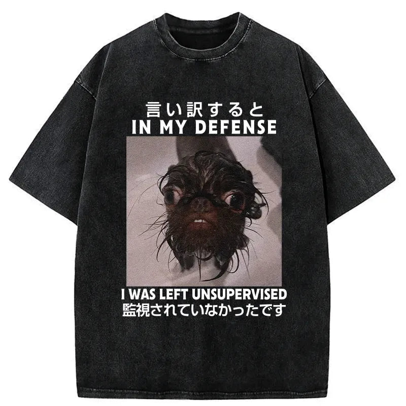 Japanese vintage t-shirt for daily wear